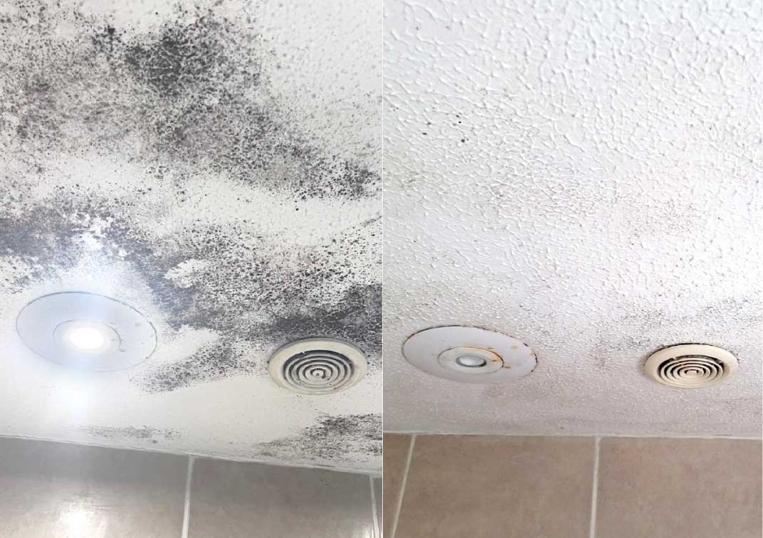 Before and after treatment ceiling